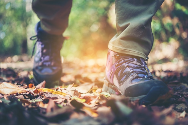 Primo piano di piedi donna piedi avventura su un percorso di montagna.