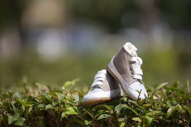 Primo piano di scarpe da ginnastica per bambini sul prato sotto la luce solare