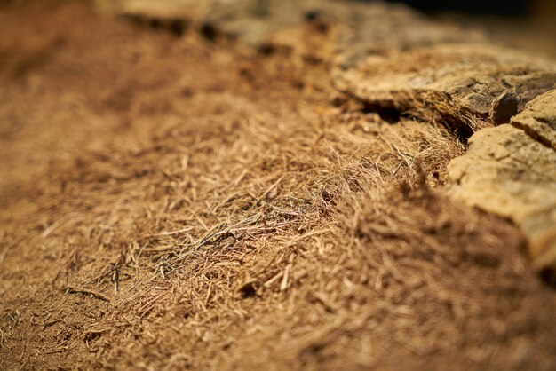 Primo piano di scarti di legno