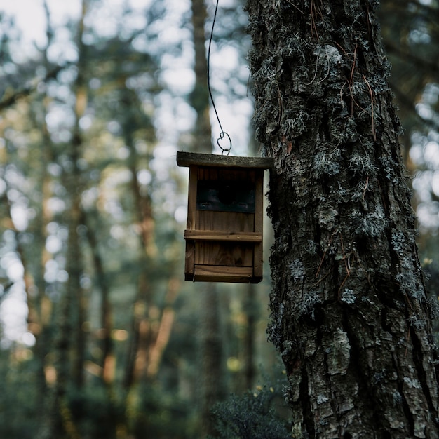 Primo piano di un alimentatore per uccelli in legno e tronco d&#39;albero