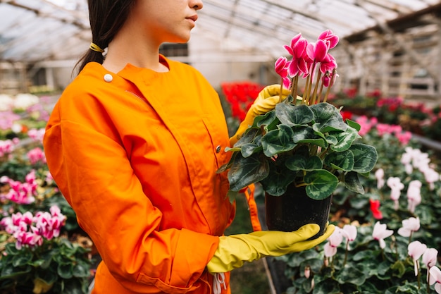 Primo piano di un giardiniere femminile che tiene il vaso di fiore rosa