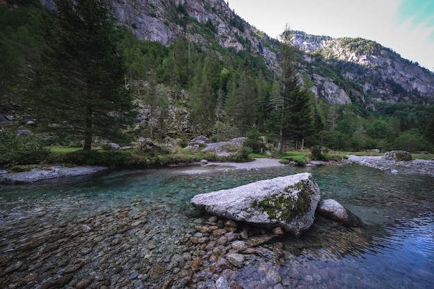 Primo piano di un lago