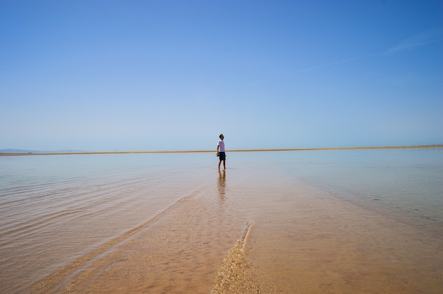 Primo piano di un maschio che cammina sulla spiaggia in una giornata di sole