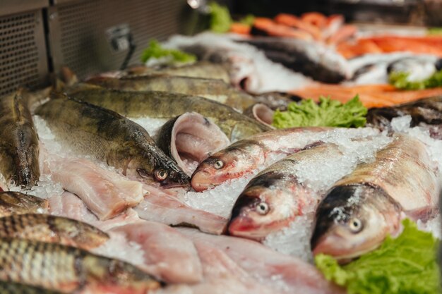 Primo piano di un pesce crudo in una vetrina