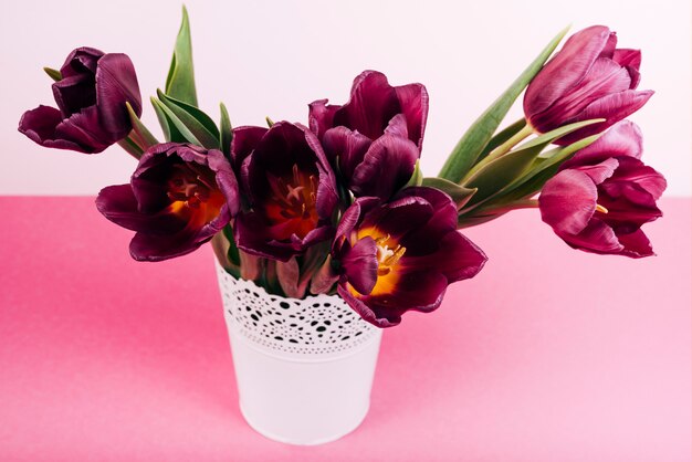 Primo piano di un tulipani in fiore in vaso bianco sul tavolo rosa