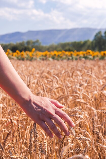 Primo piano di una donna in un campo di grano in una giornata di sole