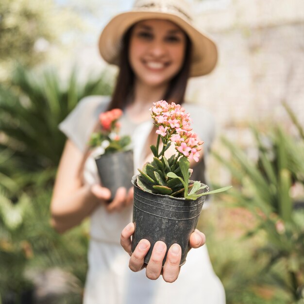 Primo piano di una mano femminile che tiene la pianta in vaso del fiore rosa