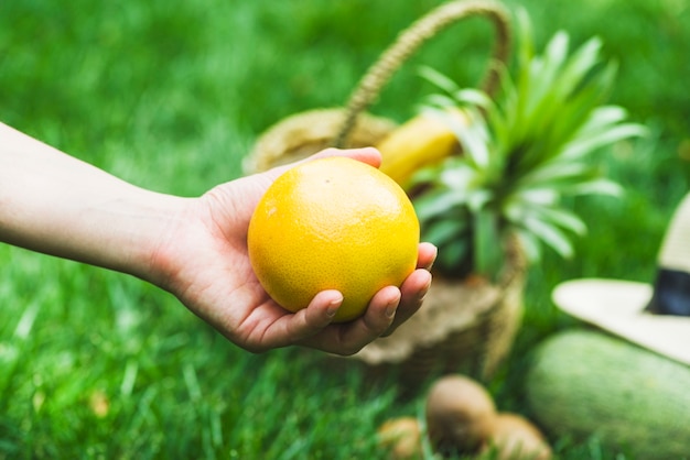 Primo piano di una mano umana che tiene frutta arancione