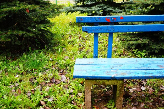 Primo piano di una panchina del parco blu