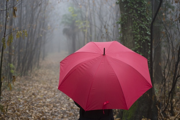 Primo piano di una persona con un ombrello rosso che cammina in un vicolo boscoso in una giornata nebbiosa