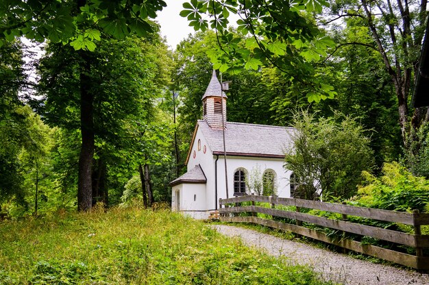 Primo piano di una piccola chiesa bianca nel bosco