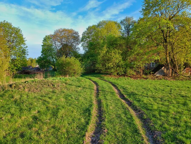 Primo piano di una strada di campagna in primavera in Bielorussia