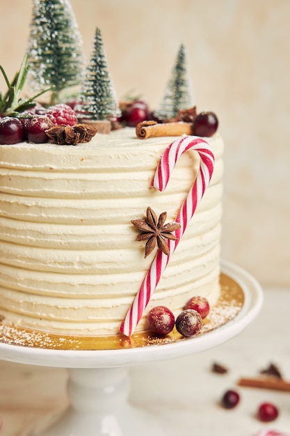 Primo piano di una torta di Natale con anice e frutti di bosco