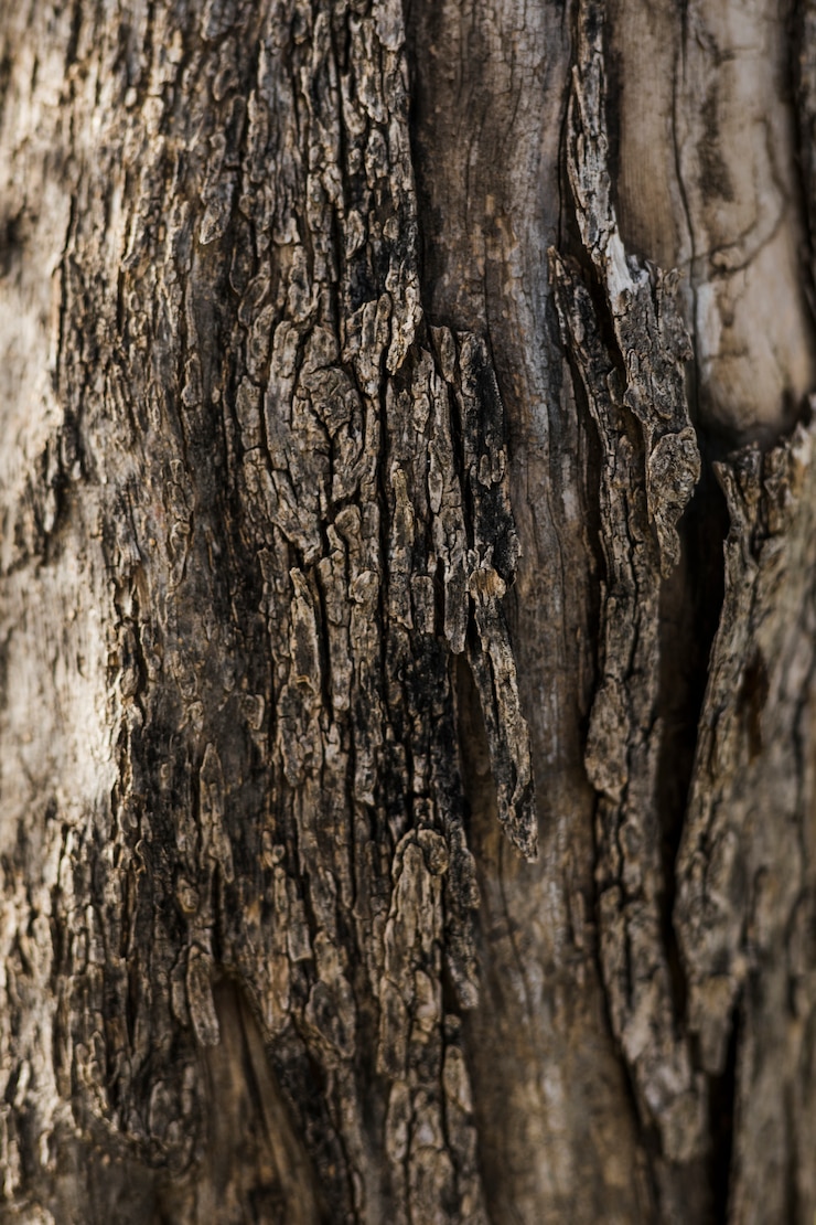 Foto gratuito primo piano di vecchio legno strutturato