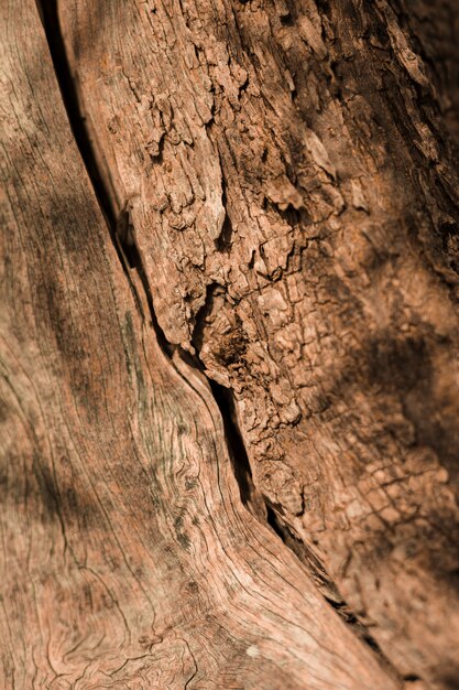 Primo piano di vecchio strutturato di legno