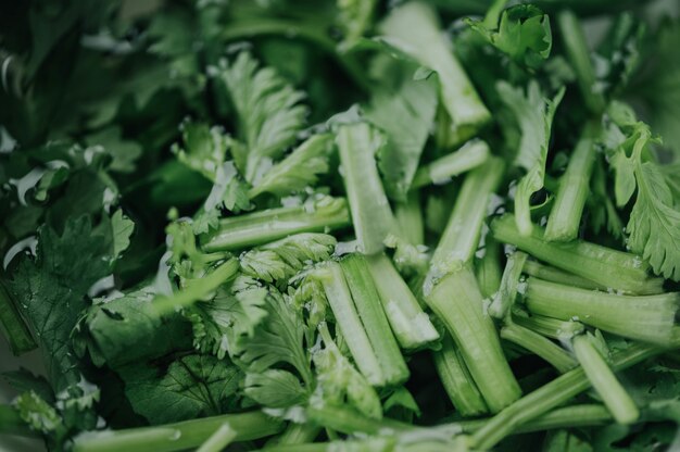 Primo piano di verdure verdi