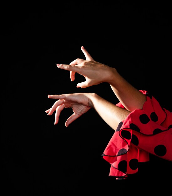 Primo piano flamenca eseguendo floreo