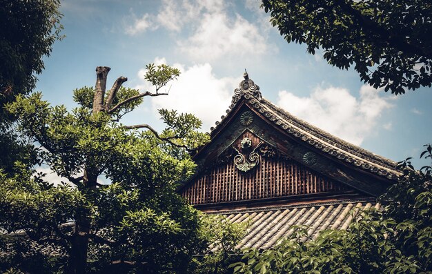 Primo piano girato per il tetto del castello Nijō, Kyoto, Giappone