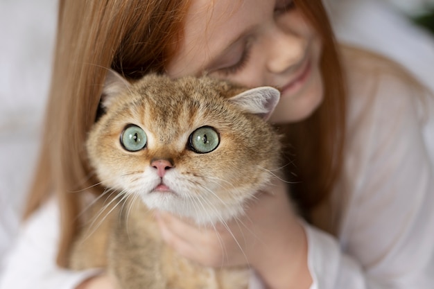 Primo piano su un bellissimo gatto con una bambina