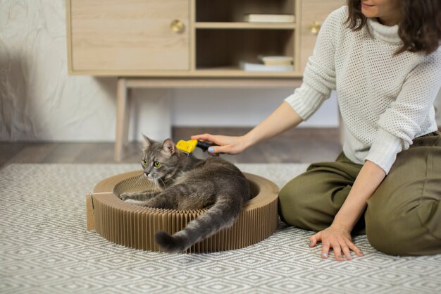 Primo piano sul bellissimo gatto con il proprietario