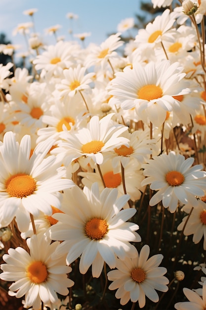 Primo piano sul bouquet di fiori