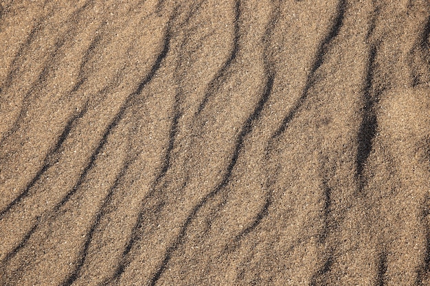 Primo piano sul dettaglio della trama del terreno