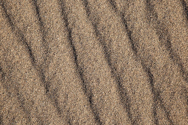 Primo piano sul dettaglio della trama del terreno