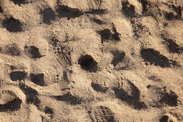 Primo piano sul dettaglio della trama del terreno