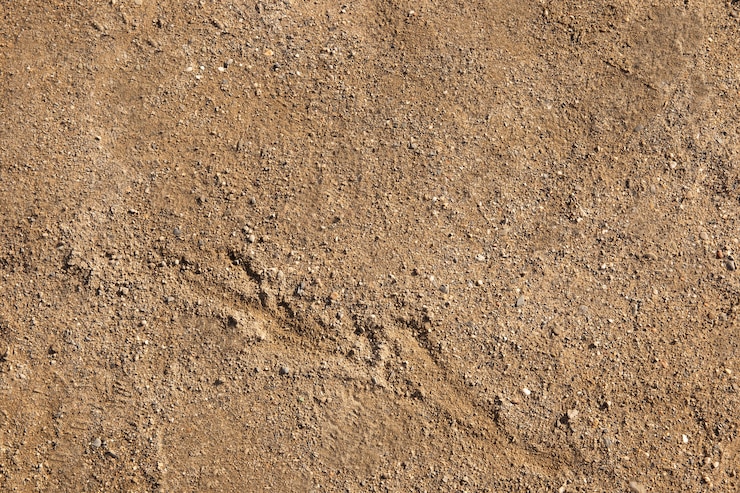 Foto gratuito primo piano sul dettaglio della trama del terreno