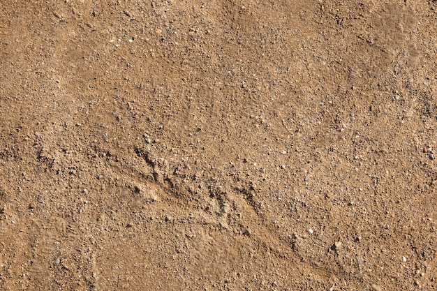 Primo piano sul dettaglio della trama del terreno