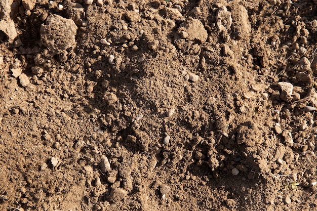 Primo piano sul dettaglio della trama del terreno