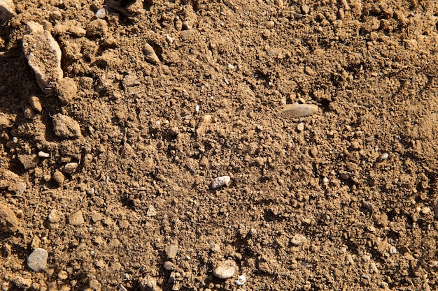 Primo piano sul dettaglio della trama del terreno