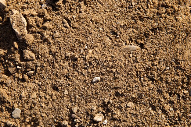 Primo piano sul dettaglio della trama del terreno