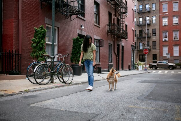 Primo piano sullo stile di vita degli animali domestici