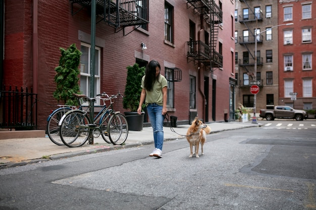 Primo piano sullo stile di vita degli animali domestici