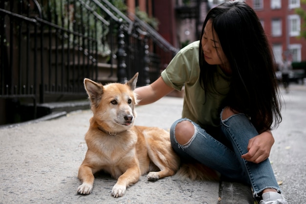 Primo piano sullo stile di vita degli animali domestici