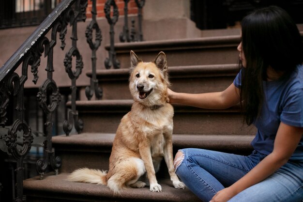 Primo piano sullo stile di vita degli animali domestici