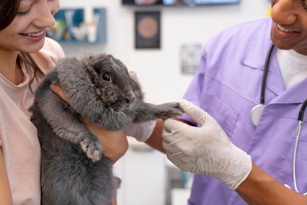 Primo piano veterinario che tiene la zampa di coniglio