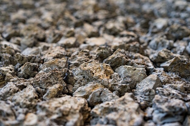 Priorità bassa del muro di mattoni di pietra. Texture di pietra.