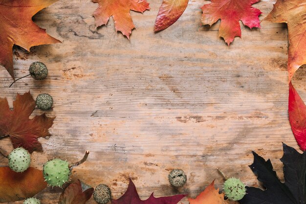 Priorità bassa di autunno con foglie su legno