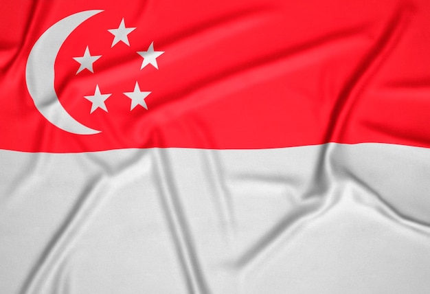 Priorità bassa realistica della bandiera di Singapore