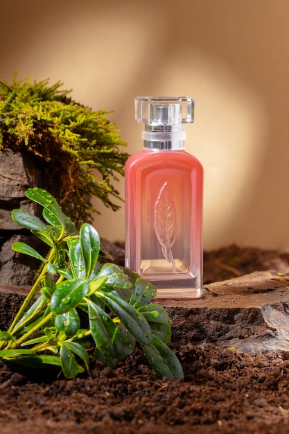 Prodotto di bellezza ecologico