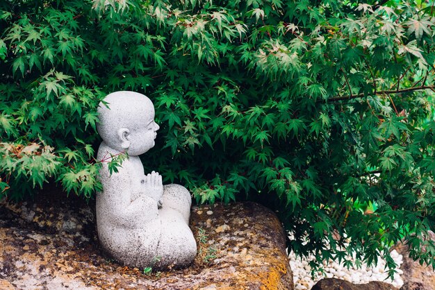 Profilo di una piccola statua di Buddha pregando sotto l&#39;albero in natura