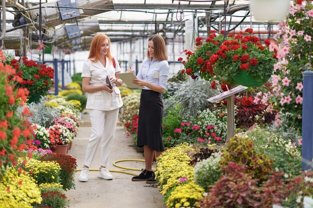 Proprietario di una serra che presenta opzioni di fiori a un potenziale rivenditore cliente.