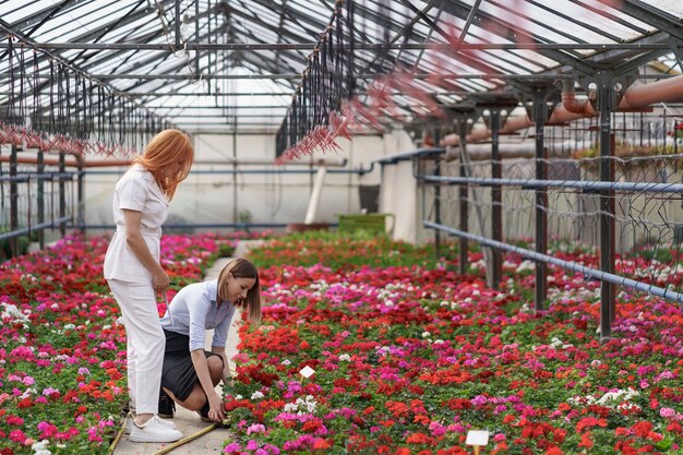 Proprietario di una serra che presenta opzioni di fiori a un potenziale rivenditore cliente.