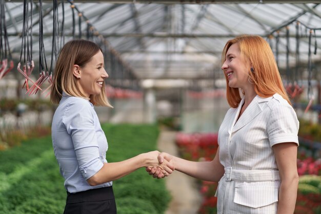 Proprietario di una serra che presenta opzioni di fiori a un potenziale rivenditore cliente.