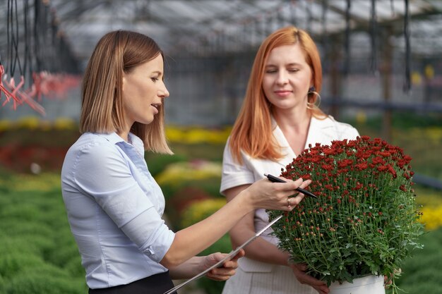 Proprietario di una serra che presenta opzioni di fiori a un potenziale rivenditore cliente.