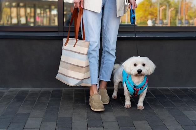 Proprietario di vista frontale con simpatico cane