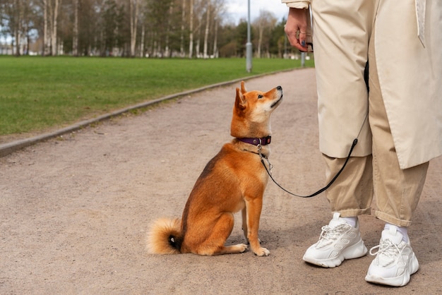 Proprietario di vista laterale e cane carino all'aperto