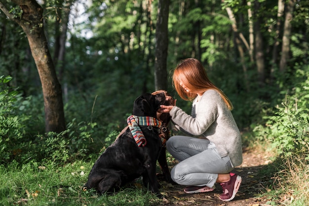 Proprietario femminile che si preoccupa il suo cane di labrador in foresta